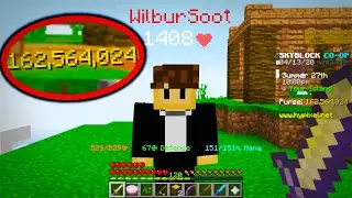 Skyblock: THE PERFECT SCAM