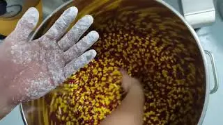 JMJ 3A Capsule Inspection Oil Sorting Capsules Polisher Capsules Polishing Machines