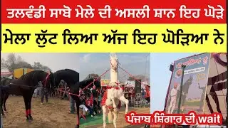 ਤਲਵੰਡੀ ਸਾਬੋ ਮੇਲੇ ਤੇ ਇਹਨਾ ਘੋੜਿਆ ਨੇ ਕਰਾਤੀ ਪੂਰੀ ਐਂਡ ਗੱਲਬਾਤ ਟਕ ਜਰੂਰ ਦੇਖੋ ਇਹ ਵੀਡੀਓ #live #horse 