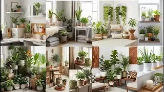 6 Practical Tips for Indoor High-End Greenery Styling for a Breathtaking Vibe