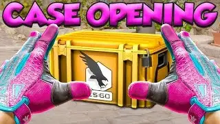 OPENING A 1600$ GLOVE ON CS2 [CSGOCASES.COM]
