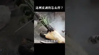 high-pressure cold water: a new level of bark peeling, perfect display of efficiency and strength