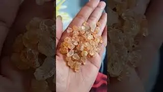 #moringa #gond #gum #remove #pigmentation #goldpalette