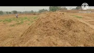Farming Darlipali all farming#efarmings