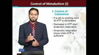 Control of metabolism-I | Principles of Animal Life-I | ZOO514T_Topic119