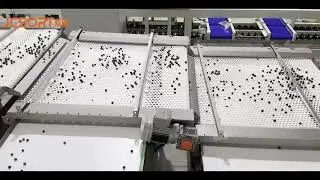 Blueberry sorting machine, blueberry grader, blueberry sizer, blueberry calibrator, blueberry sorter