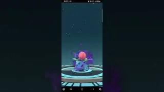 Pokemon Evolution:     Shadow(Rocket) Bulbasaur-Ivysaur-Venusaur