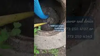 south side of Chicago vacuum it out a catch basin