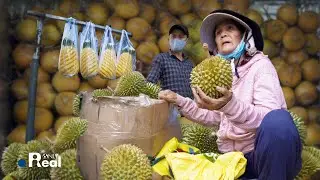 How Street Vendors Serve Fresh Fruits in Vietnam