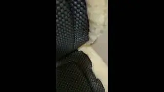 Honest Review of Kavallerie 3D Air-Mesh Fleece Half Pad #horse #tack #equestrian #commissionsearned
