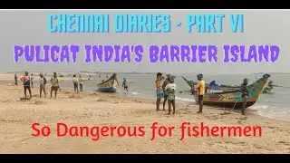 Chennai Diaries - Part VI | Pulicat, India's Barrier Island | #pulicat #beach #birds  #lighthouse