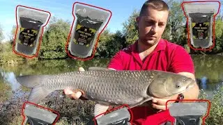 Amuri u hladnoj vodi 🎣 Priprema i Testiranje NOVIH 💥Melet Bait Sticky Micro Pellet-a💥 4K