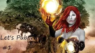Disciples 2 : Let's Play publicitaire vous d&icirc;tes ?