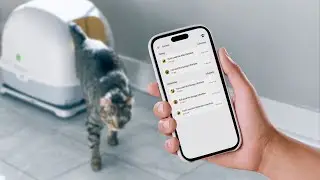 Smart Litter Box Monitor FAQ | Labeling Your Cat&rsquo;s Events in the Petivity App​