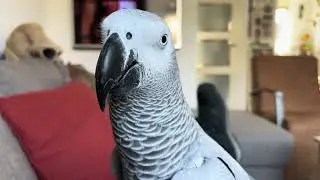 I want to sit with you..!
