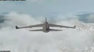 Cod