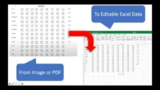 Import fully editable data from PDF / pictures into Excel