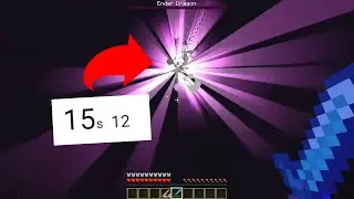 Fake Minecraft Speedruns Be Like