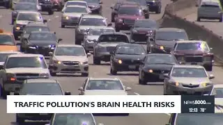 Traffic pollution and brain health risks