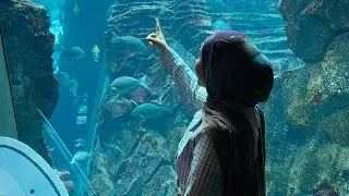 Joetsu Aquarium Umigatari - Niigata, Japan🇯🇵