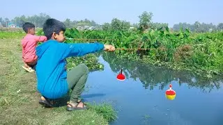 Fishing Video || The boys always catches a lot of fish from the village canal | Best fishing trap 