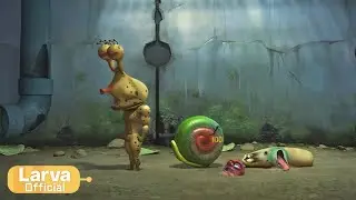 Snail | Animation Compilation | Larva Tuba | Official