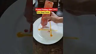 Puree Plating Idea [ 03 ] For Dog Food #shorts
