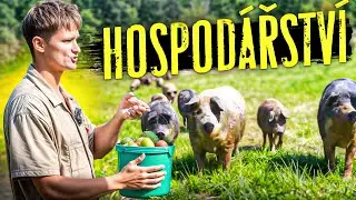 DEN V ČESK&Eacute;M HOSPOD&Aacute;ŘSTV&Iacute; 🐷
