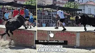 Grao de Castellon Buen comienzo de Fiestas - Ganaderia El Pilar 2025