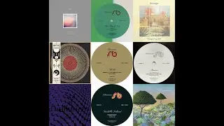All Vinyl Balearic Downtempo Lounge DJ Mix 202508