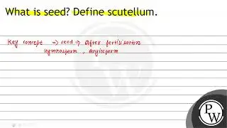 What is seed? Define scutellum.