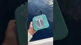 Ocean safari in Hawaii