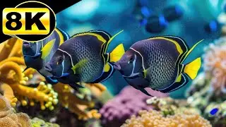 🎹 Piano Submarino: Viagem Sonora 🐚 Explore a Paz do Fundo do Mar com Melodias Envolventes e Relax 🌊