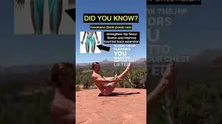 Tips and benefits of boat pose AKA Navasana 🖤👁 #boatpose #yogaforcore #yogatips #yogabenefits