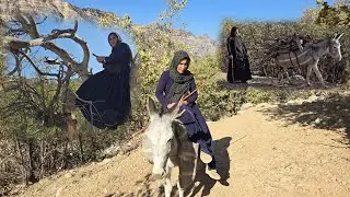 День с трудолюбивой девушкой-кочевницей 🐴 От горных троп до сбора дров для кочевой жизни 🔥🌲