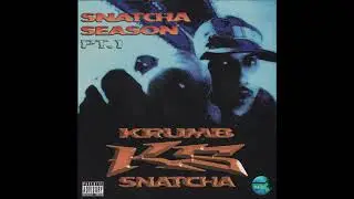 Krumbsnatcha - Everyday Struggle [feat. Sonic]