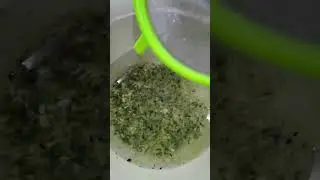 Easy Way! Passion Fruit Seed Pulp Separation and Storage