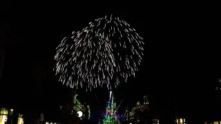 Happily Ever After - Disney World