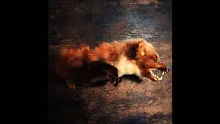Surplus - Bitter and Alone (Audio)