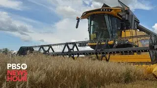 Russia, Ukraine reach agreement to resume grain shipments
