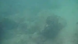 diving