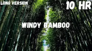 Windy Bamboo Forest | Wind Storm | Peaceful and Relaxing