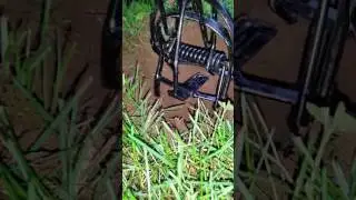 Victor out o sight mole trap