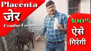 बकरी की जेर गिराने के उपाय दवा 👉 पुख्ता सफाई ऐसे होगी
