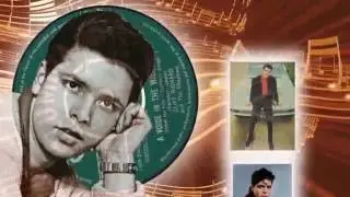 Cliff Richard  -  A Voice In The Wilderness