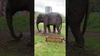 Elephant park London #london #viral #explore #youtubeshorts #elephantpark #foryou #uklife