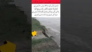 🌊⚠️ Riverbank Erosion Disaster | Lands & Villages in Danger