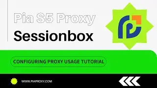 350 million residential IPs worldwide&mdash;Pia S5 Proxy with Sessionbox proxy configuration