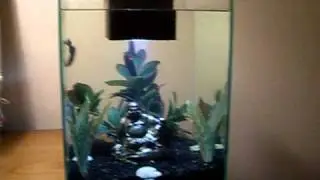 Fluval Chi Betta Tank