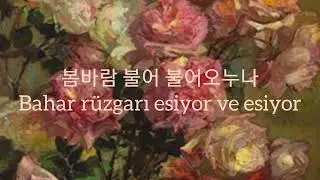 Kim Jung Mi - Spring [T&uuml;rk&ccedil;e &Ccedil;eviri]